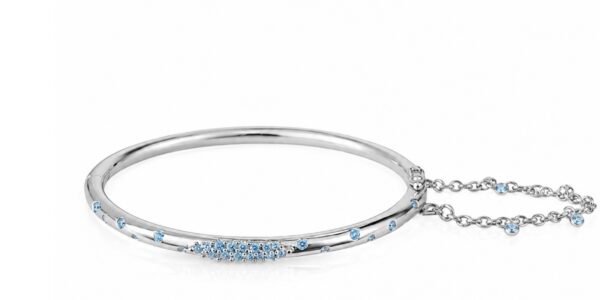 Silver Bracelet with Chain