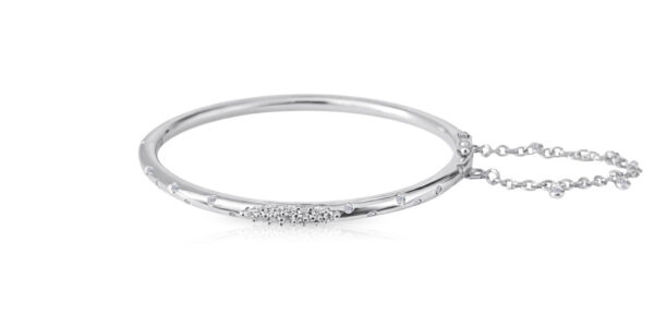 Silver Bracelet with Chain